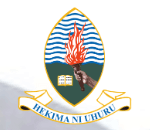 UDSM Logo